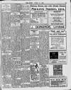 Enniscorthy Echo and South Leinster Advertiser Saturday 16 April 1910 Page 13