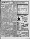 Enniscorthy Echo and South Leinster Advertiser Saturday 09 July 1910 Page 3