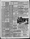 Enniscorthy Echo and South Leinster Advertiser Saturday 17 September 1910 Page 11