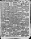 Enniscorthy Echo and South Leinster Advertiser Saturday 24 December 1910 Page 5