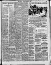 Enniscorthy Echo and South Leinster Advertiser Saturday 24 December 1910 Page 13