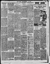 Enniscorthy Echo and South Leinster Advertiser Saturday 31 December 1910 Page 3