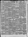 Enniscorthy Echo and South Leinster Advertiser Saturday 31 December 1910 Page 5