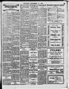 Enniscorthy Echo and South Leinster Advertiser Saturday 31 December 1910 Page 11