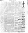 Enniscorthy Echo and South Leinster Advertiser Saturday 25 March 1911 Page 3