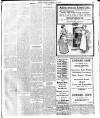 Enniscorthy Echo and South Leinster Advertiser Saturday 25 March 1911 Page 13