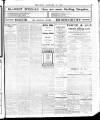 Enniscorthy Echo and South Leinster Advertiser Saturday 13 January 1912 Page 3