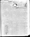 Enniscorthy Echo and South Leinster Advertiser Saturday 03 February 1912 Page 13