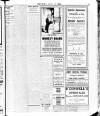 Enniscorthy Echo and South Leinster Advertiser Saturday 08 June 1912 Page 13