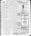 Enniscorthy Echo and South Leinster Advertiser Saturday 22 June 1912 Page 13