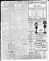 Enniscorthy Echo and South Leinster Advertiser Saturday 16 November 1912 Page 11