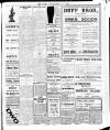 Enniscorthy Echo and South Leinster Advertiser Saturday 28 December 1912 Page 11