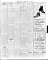 Enniscorthy Echo and South Leinster Advertiser Saturday 19 February 1916 Page 3