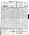 Enniscorthy Echo and South Leinster Advertiser Saturday 07 April 1917 Page 3