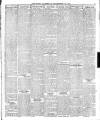 Enniscorthy Echo and South Leinster Advertiser Saturday 29 September 1917 Page 5