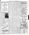 Enniscorthy Echo and South Leinster Advertiser Saturday 29 September 1917 Page 7