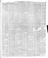 Enniscorthy Echo and South Leinster Advertiser Saturday 13 October 1917 Page 5