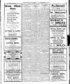 Enniscorthy Echo and South Leinster Advertiser Saturday 10 November 1917 Page 3