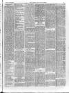 Alfreton Journal Friday 29 June 1894 Page 3