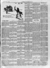 Alfreton Journal Friday 04 July 1902 Page 7