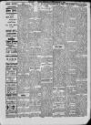 Free Press (Wexford) Saturday 08 September 1917 Page 3