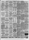 Streatham News Saturday 17 February 1900 Page 3