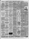 Streatham News Saturday 03 March 1900 Page 3