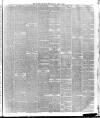 London Daily Chronicle Wednesday 08 April 1885 Page 3