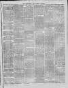 Middlesex & Surrey Gazette Saturday 15 December 1877 Page 7