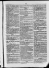 Commercial Gazette (London) Thursday 16 February 1882 Page 15