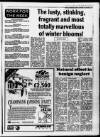 New Observer (Bristol) Friday 18 January 1991 Page 25