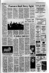 Oban Times and Argyllshire Advertiser Thursday 20 December 1990 Page 13