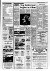 Oban Times and Argyllshire Advertiser Thursday 15 April 1993 Page 17