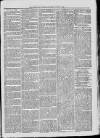 Campbeltown Courier Saturday 07 August 1875 Page 3