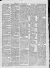 Campbeltown Courier Saturday 21 August 1875 Page 3