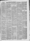 Campbeltown Courier Saturday 30 October 1875 Page 7