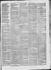 Campbeltown Courier Saturday 20 November 1875 Page 7