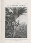 King and his Navy and Army Saturday 07 November 1903 Page 17