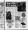 Kent Evening Post Friday 16 May 1980 Page 19