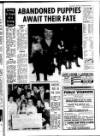 Kent Evening Post Thursday 29 December 1988 Page 7