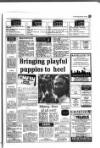 Kent Evening Post Thursday 18 January 1990 Page 19