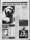 Kent Evening Post Friday 03 January 1997 Page 17