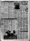 Belfast News-Letter Friday 07 February 1975 Page 17