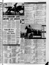 Belfast News-Letter Thursday 10 April 1975 Page 17