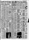 Belfast News-Letter Monday 31 January 1983 Page 11