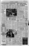 Belfast News-Letter Tuesday 03 April 1984 Page 7