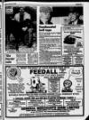 Belfast News-Letter Saturday 12 January 1985 Page 31