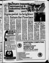 Belfast News-Letter Tuesday 05 February 1985 Page 13