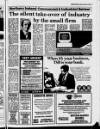 Belfast News-Letter Tuesday 05 February 1985 Page 17