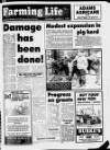 Belfast News-Letter Saturday 02 March 1985 Page 25